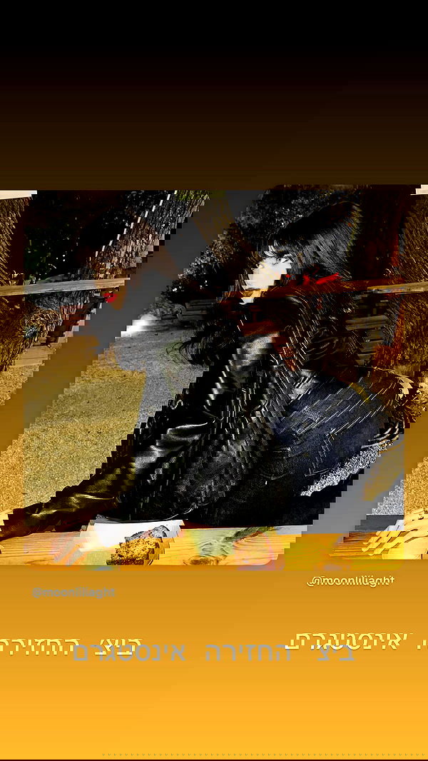 moonliliaght moonliliaght archive image