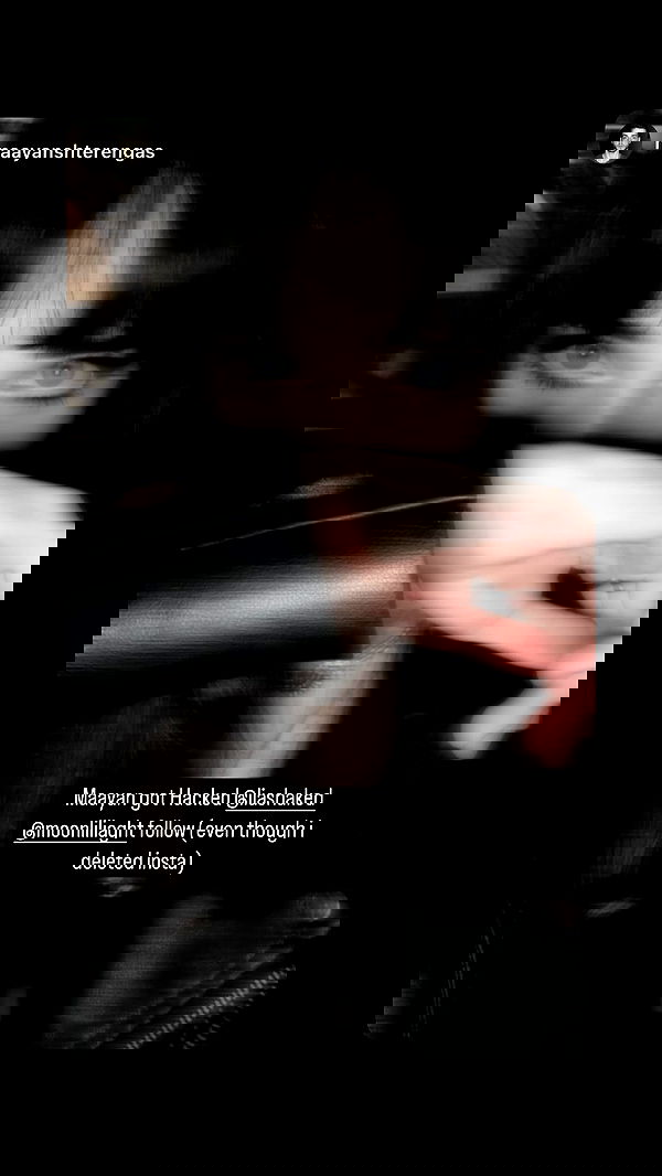 moonliliaght moonliliaght archive image