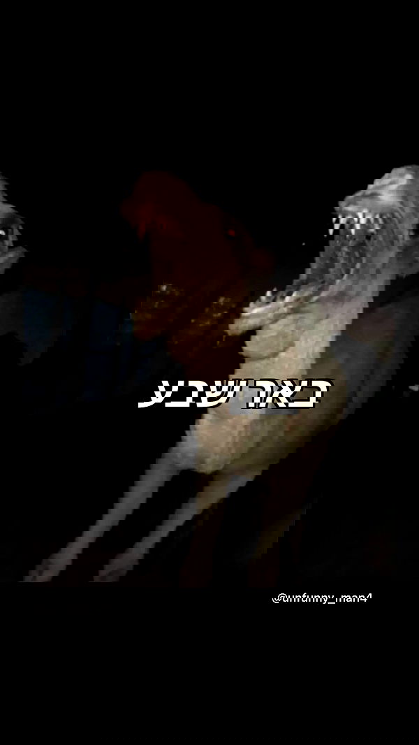 moonliliaght moonliliaght archive image