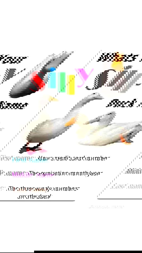 moonliliaght moonliliaght archive image