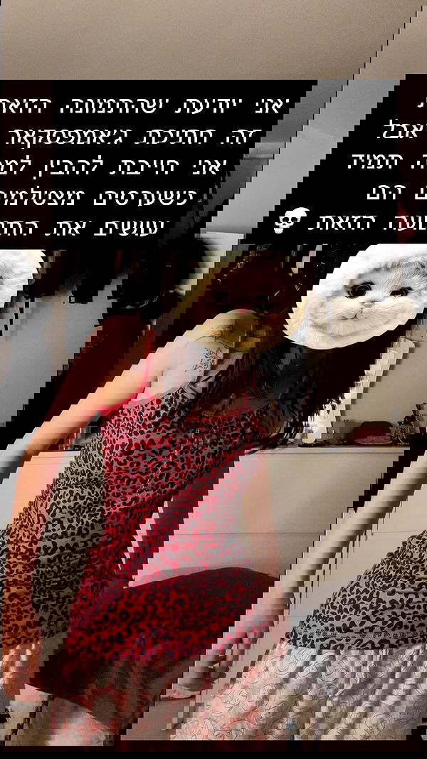 moonliliaght moonliliaght archive image