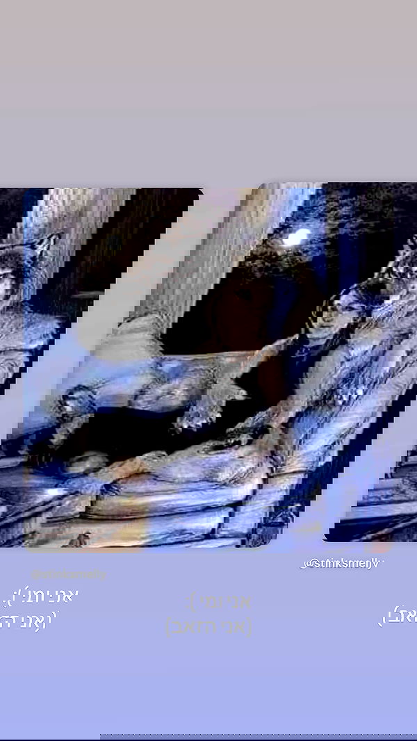 moonliliaght moonliliaght archive image