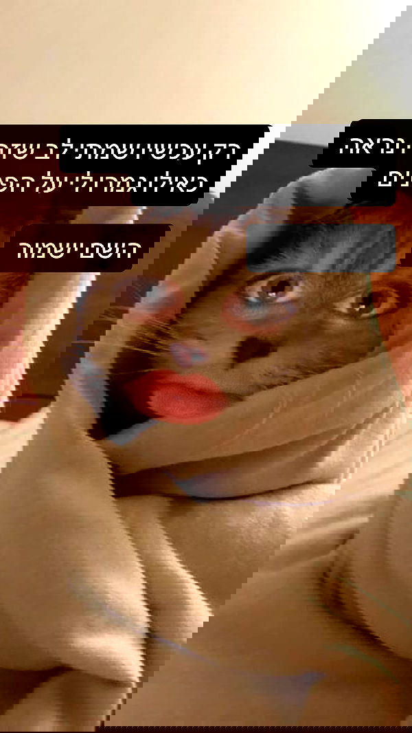 moonliliaght moonliliaght archive image