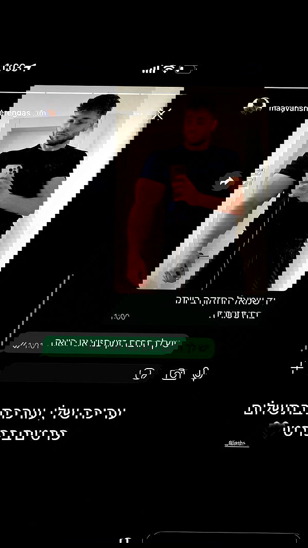 moonliliaght moonliliaght archive image