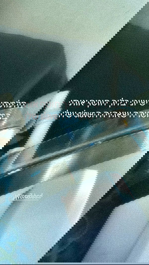 moonliliaght moonliliaght archive image