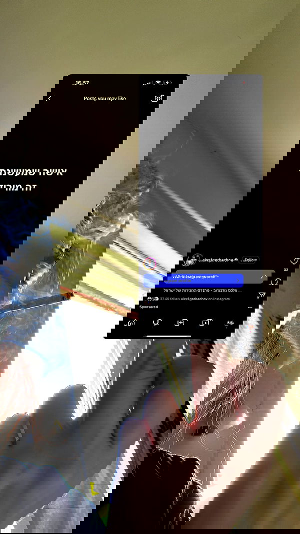 moonliliaght moonliliaght archive image