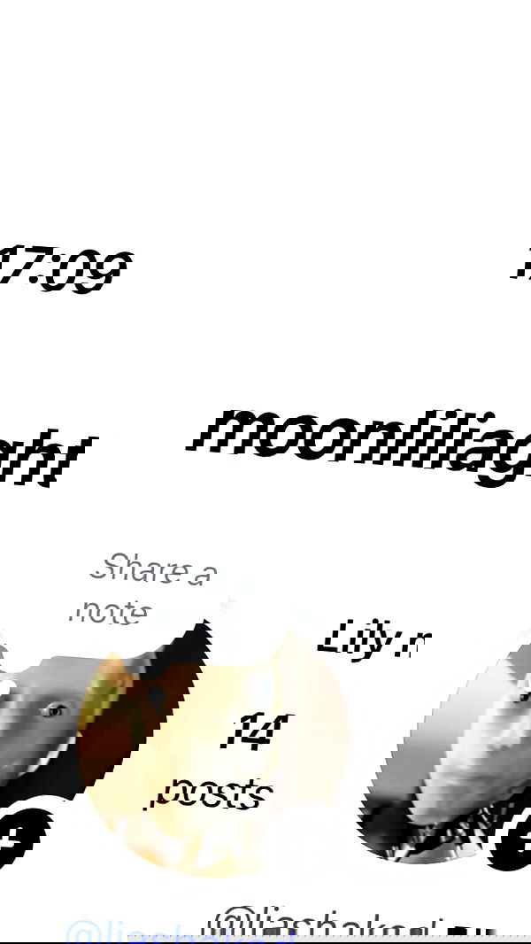 moonliliaght moonliliaght archive image