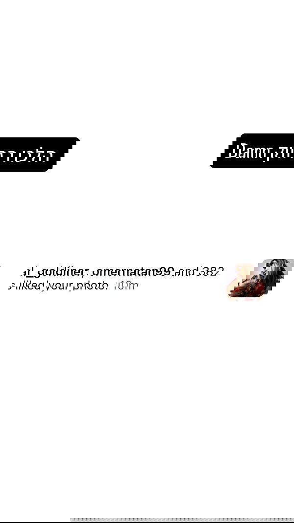 moonliliaght moonliliaght archive image