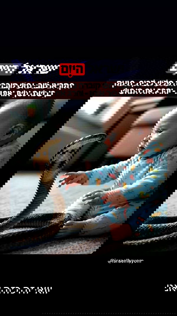 moonliliaght moonliliaght archive image