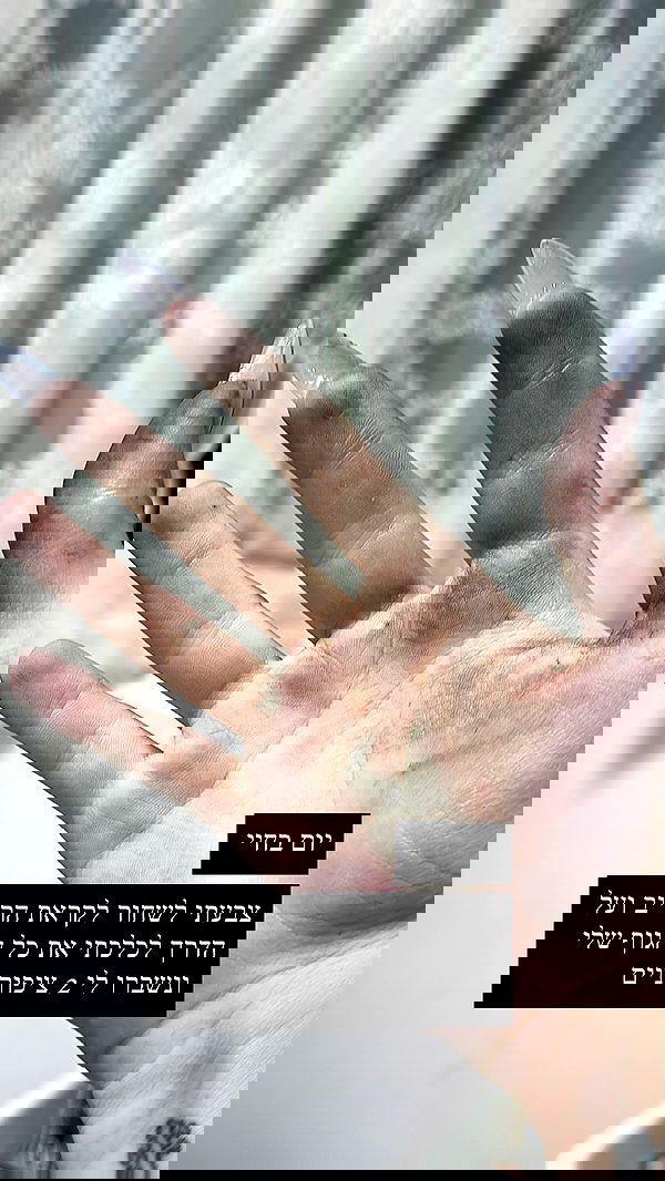 moonliliaght moonliliaght archive image