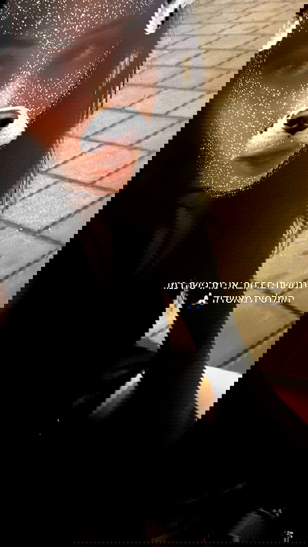 moonliliaght moonliliaght archive image