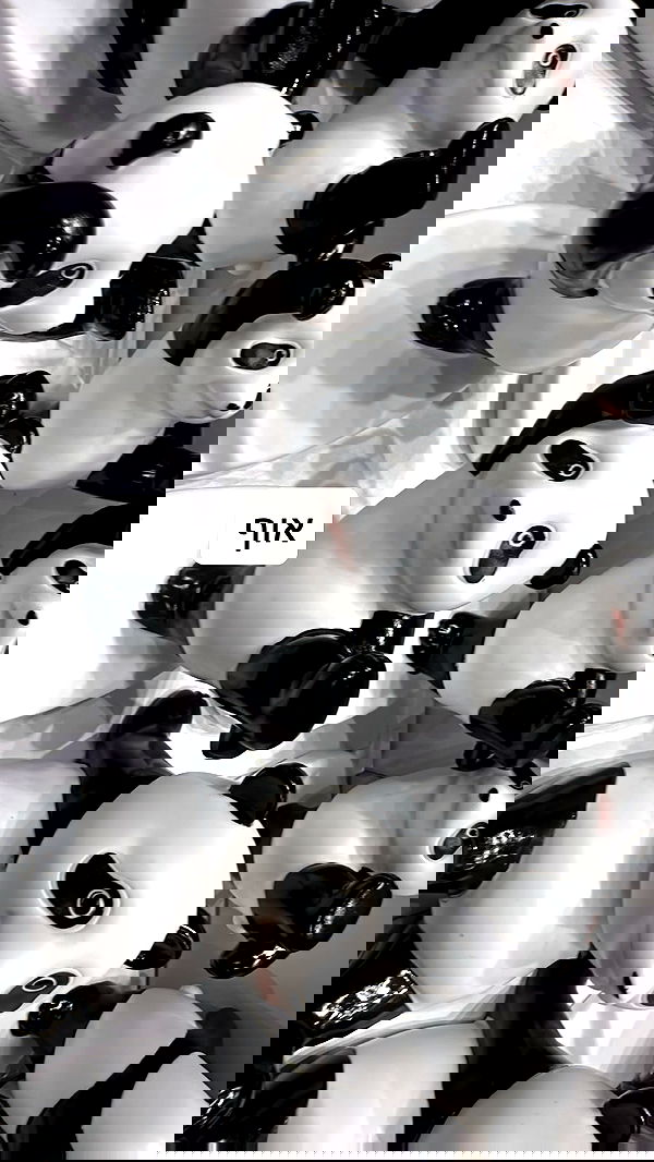 moonliliaght moonliliaght archive image