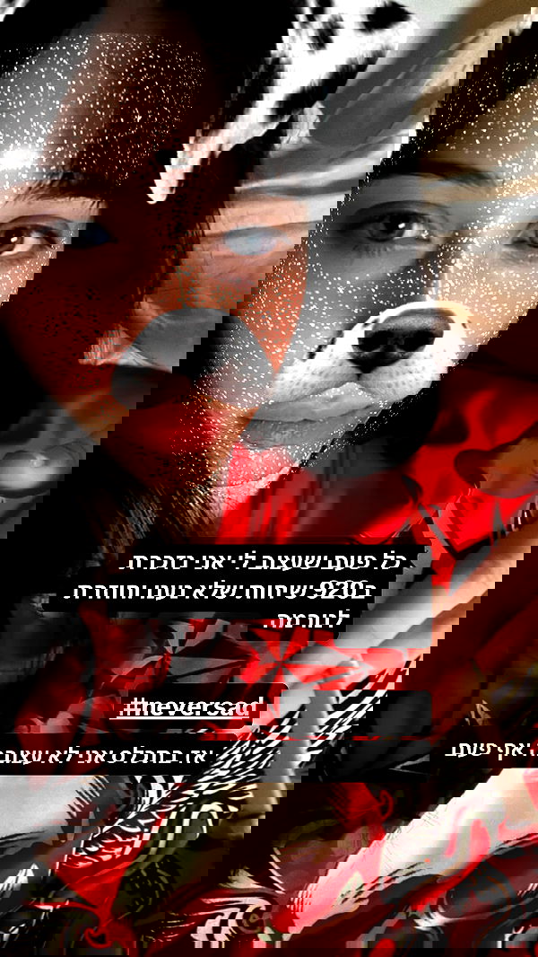 moonliliaght moonliliaght archive image