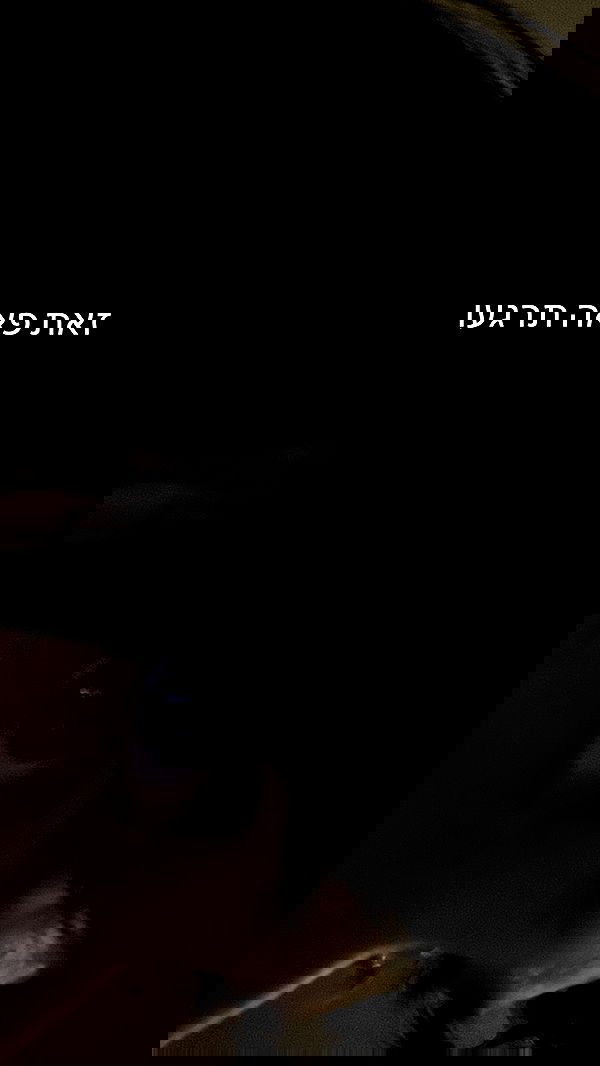 moonliliaght moonliliaght archive image