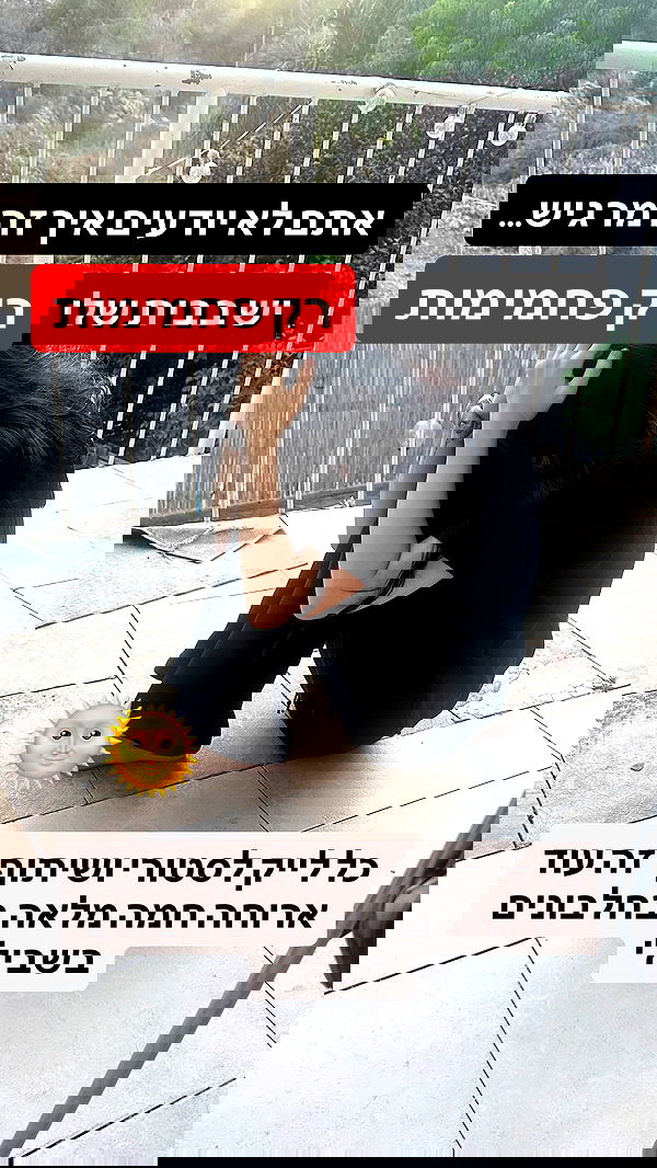 moonliliaght moonliliaght archive image