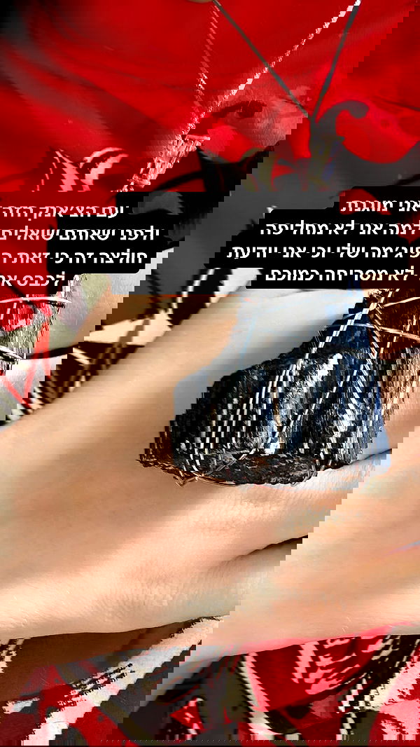 moonliliaght moonliliaght archive image