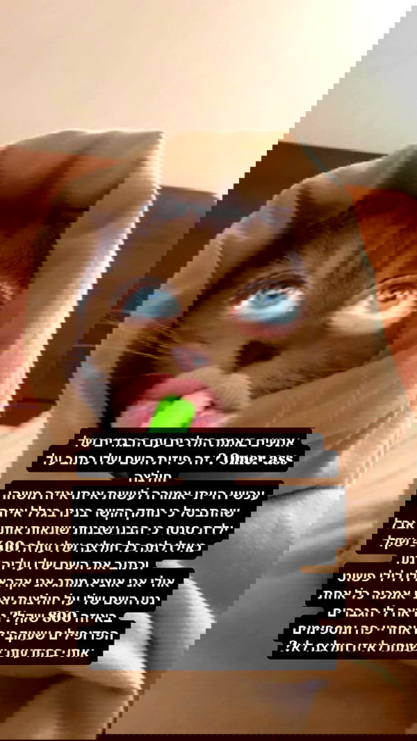 moonliliaght moonliliaght archive image