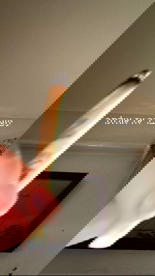 moonliliaght moonliliaght archive image