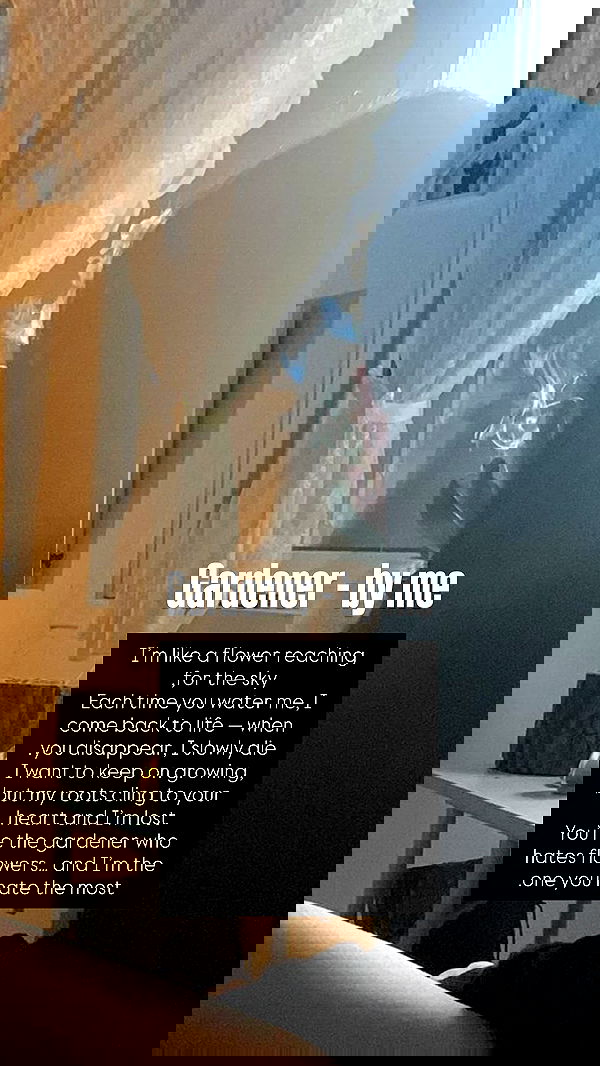 moonliliaght moonliliaght archive image