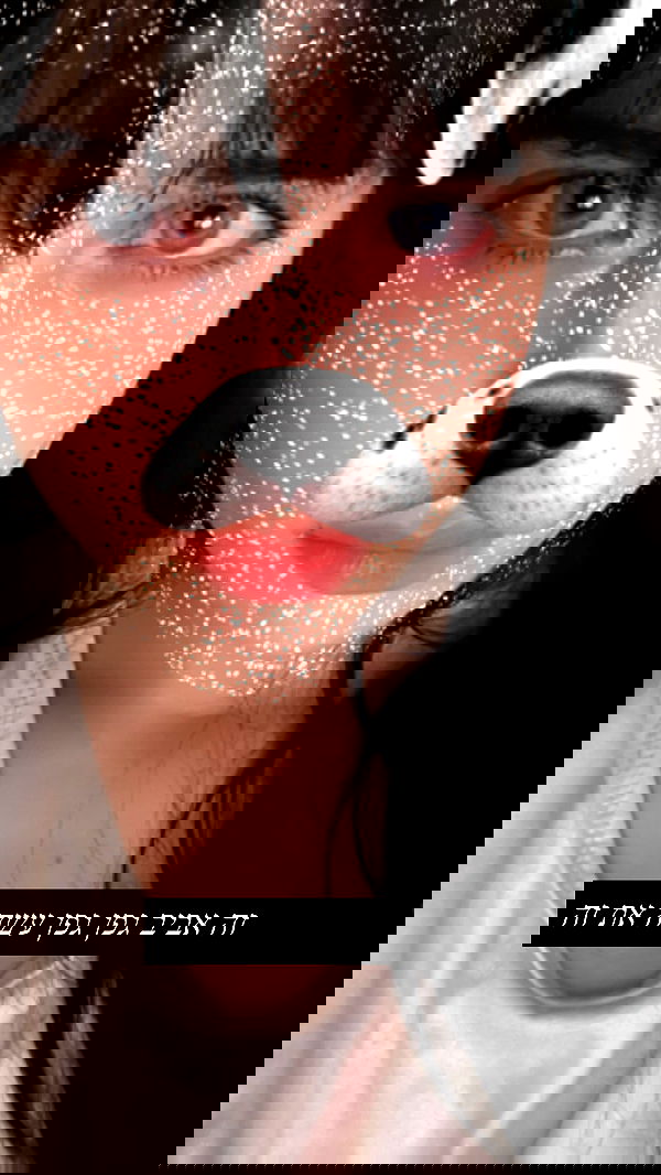 moonliliaght moonliliaght archive image