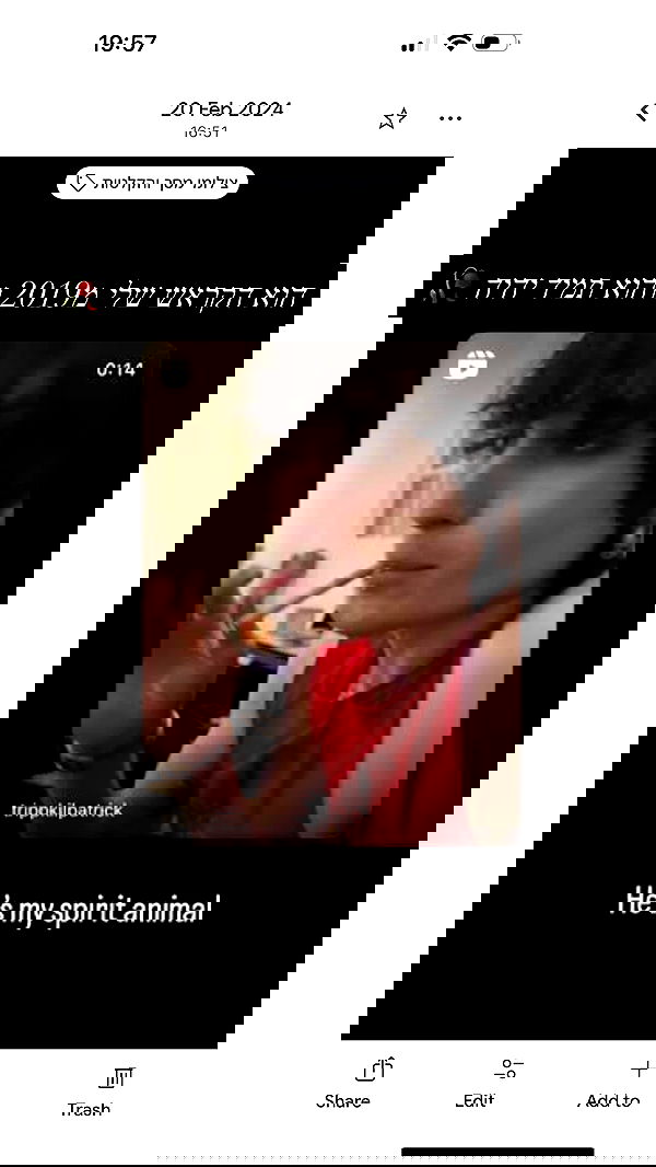 moonliliaght moonliliaght archive image