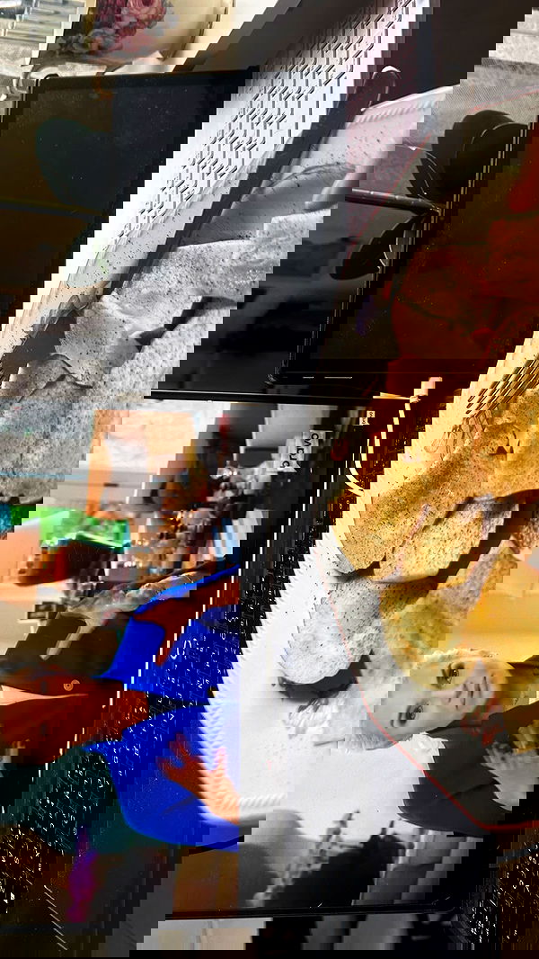 moonliliaght moonliliaght archive image