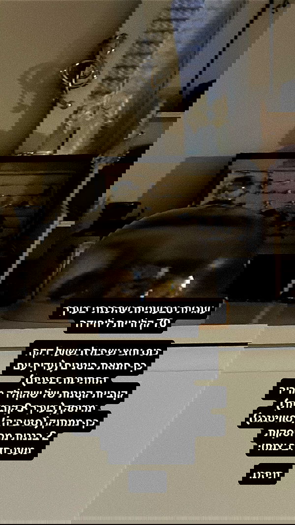 moonliliaght moonliliaght archive image