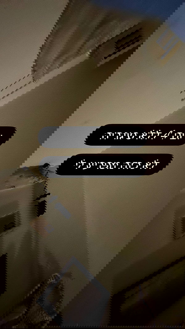 moonliliaght moonliliaght archive image