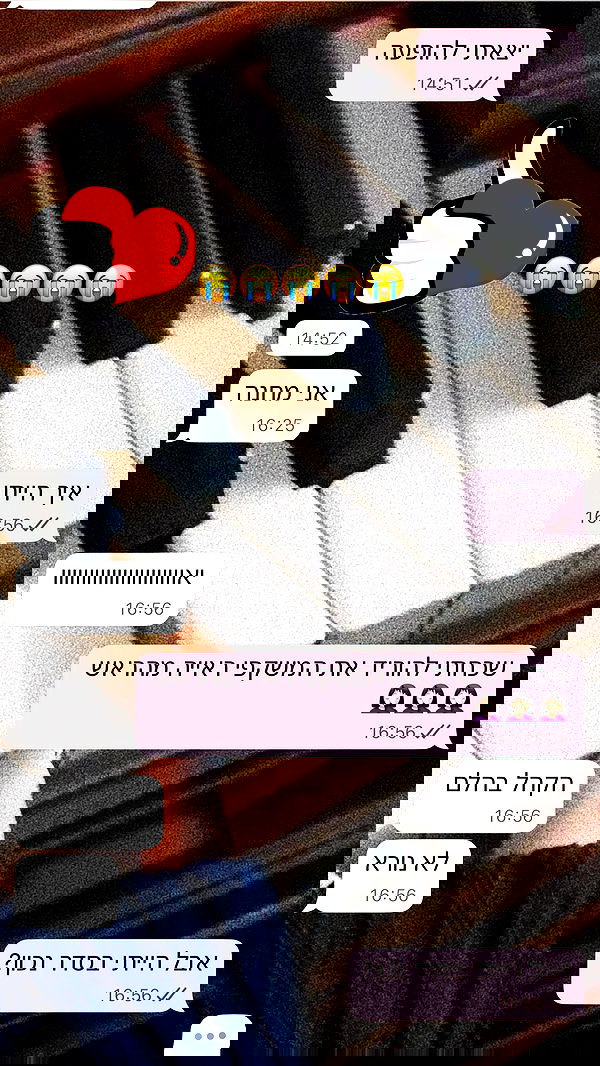 moonliliaght moonliliaght archive image