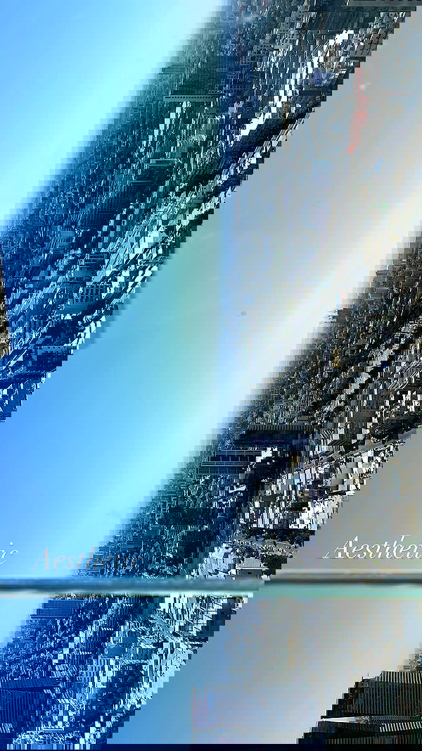 moonliliaght moonliliaght archive image