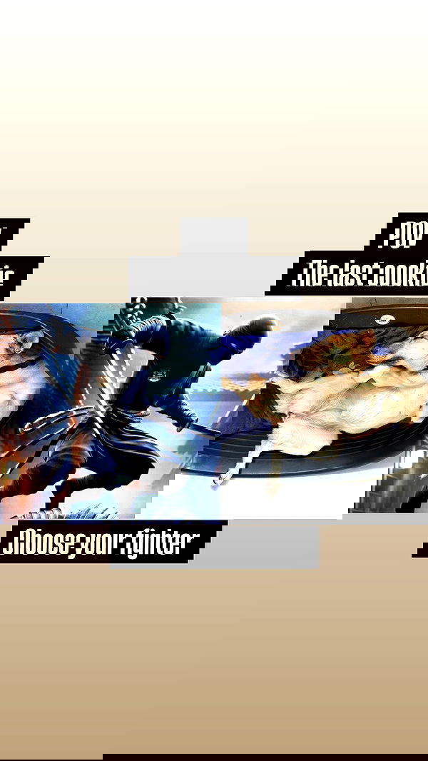 moonliliaght moonliliaght archive image