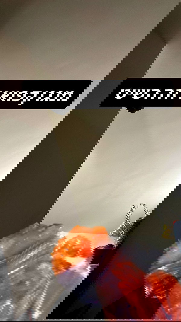 moonliliaght moonliliaght archive image