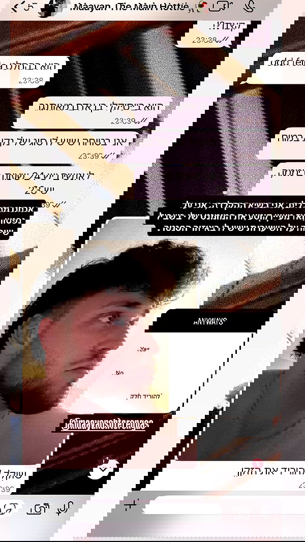 moonliliaght moonliliaght archive image