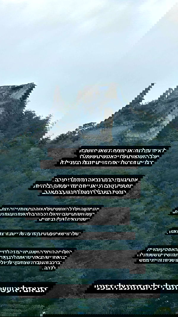 moonliliaght moonliliaght archive image