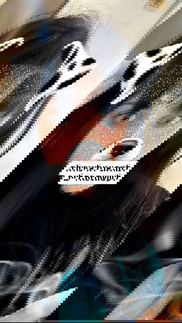 moonliliaght moonliliaght archive image