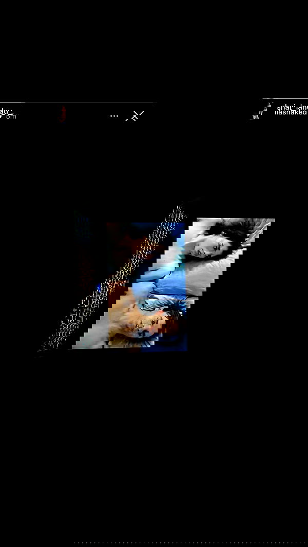 moonliliaght moonliliaght archive image