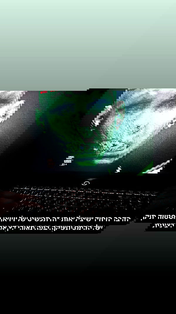 moonliliaght moonliliaght archive image