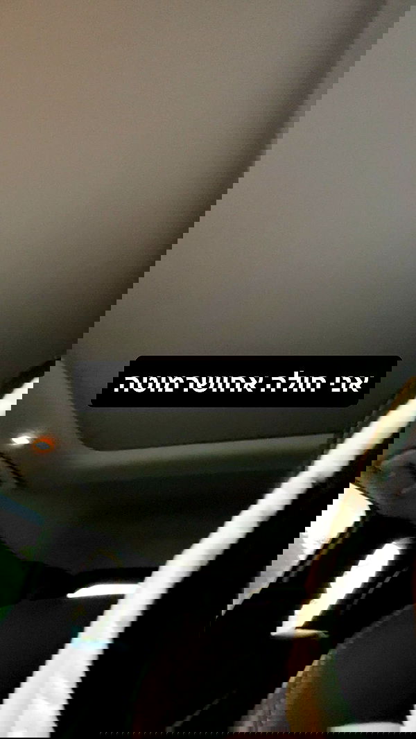 moonliliaght moonliliaght archive image