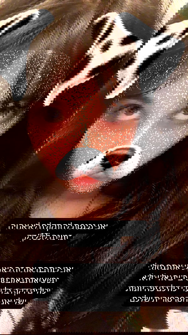 moonliliaght moonliliaght archive image