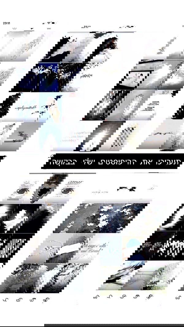 moonliliaght moonliliaght archive image