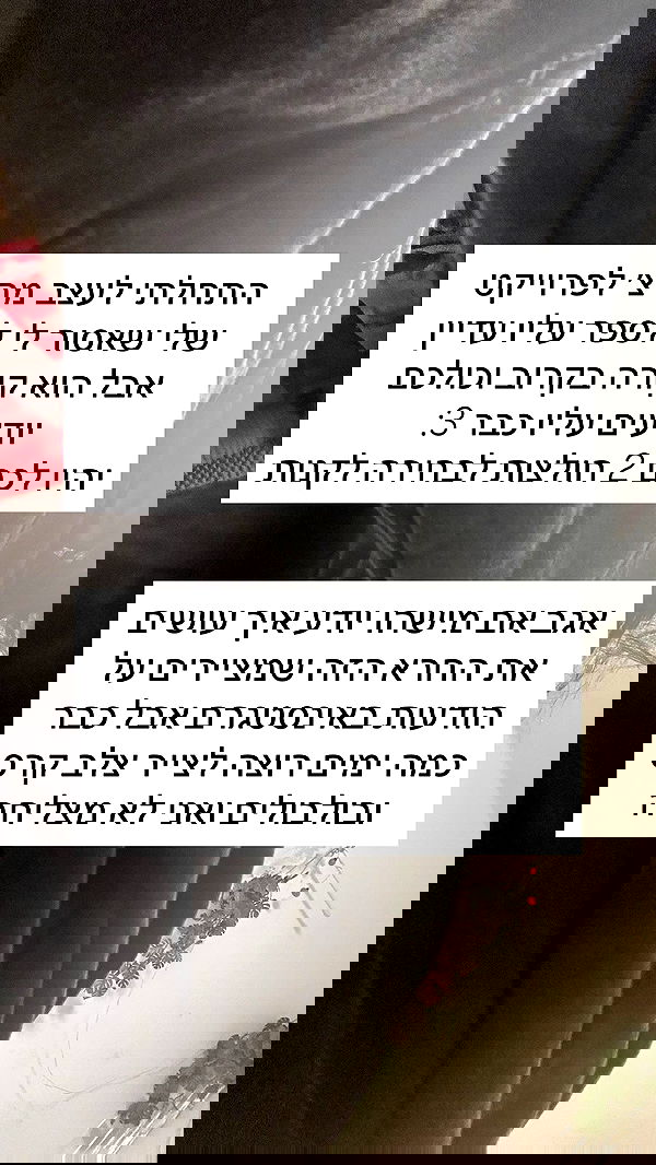 moonliliaght moonliliaght archive image