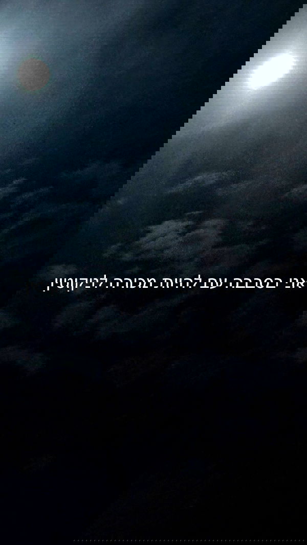 moonliliaght moonliliaght archive image