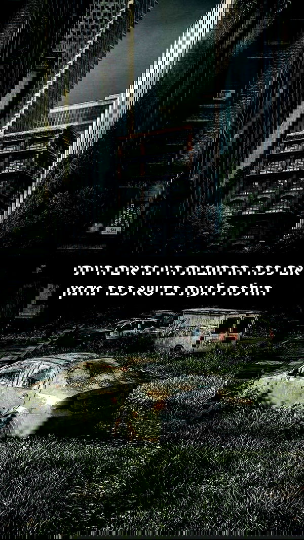 moonliliaght moonliliaght archive image