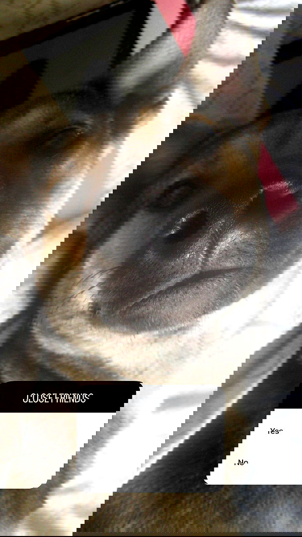 moonliliaght moonliliaght archive image