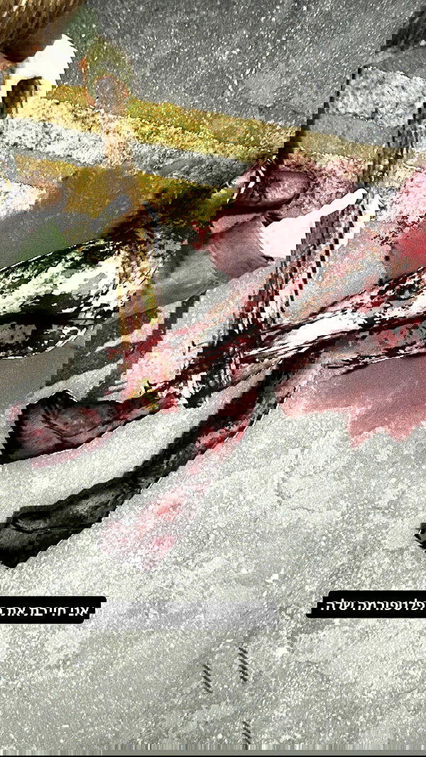 moonliliaght moonliliaght archive image