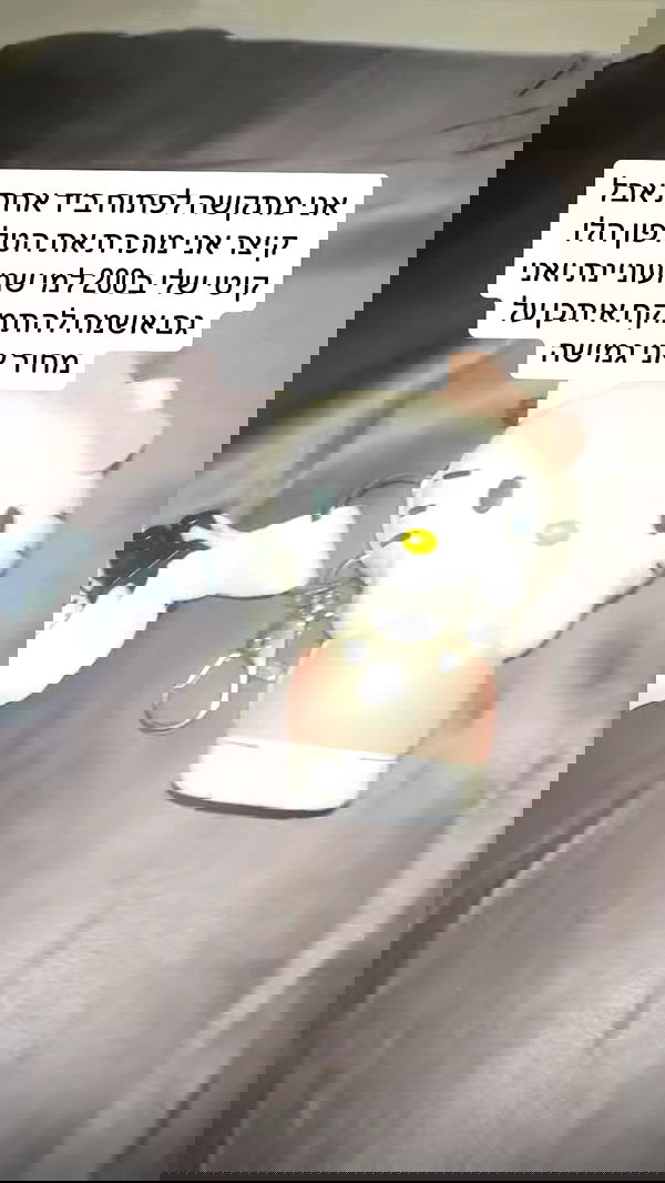 moonliliaght moonliliaght archive image