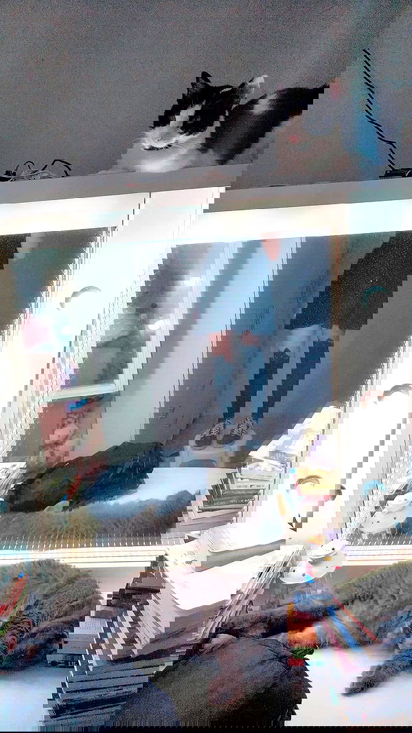 moonyyyya moonyyyya archive image