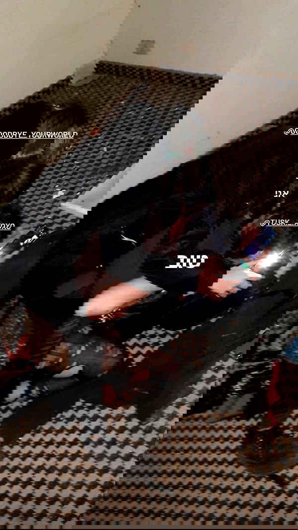 moonyyyya moonyyyya archive image