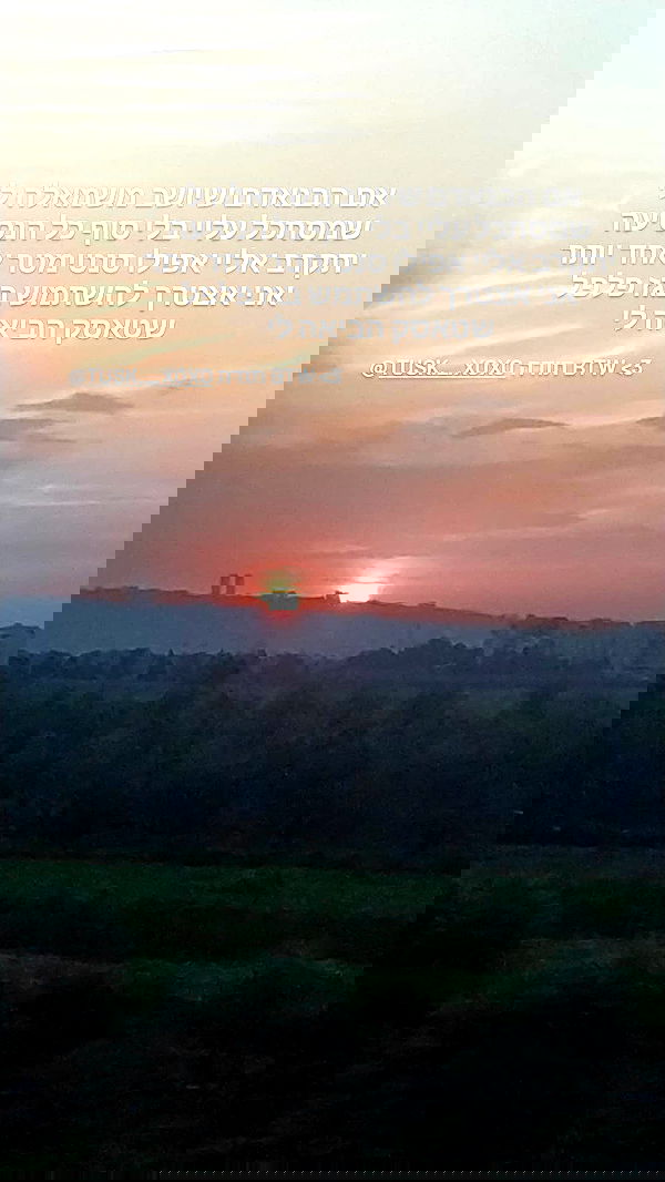 moonyyyya moonyyyya archive image