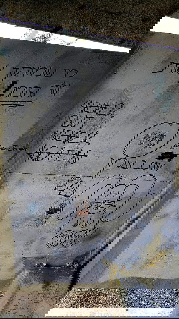 moonyyyya moonyyyya archive image